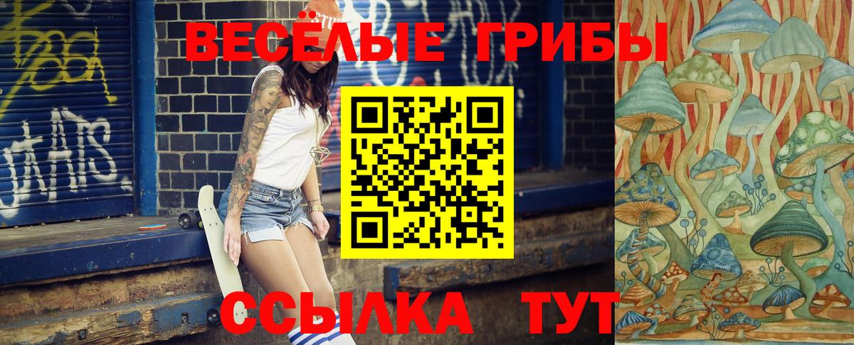 Галлюциногенные грибы Psilocybine cubensis Донецк